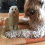 Pop Up Pet Cockapoo