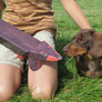 Pop Up Pet Dachshund with Jasper