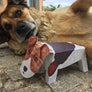 Card Fox Terrier and real dog