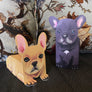 Pop Up Pet Frenchie Puppies on sofa
