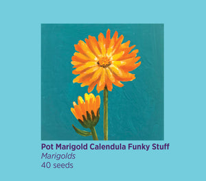 Rosie Flo pot marigold Seeds