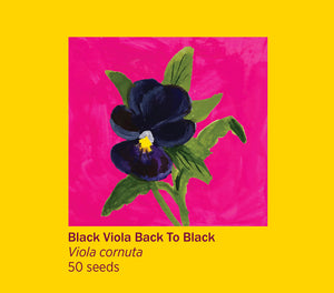 Rosie Flo's Black Viola Flower Seeds
