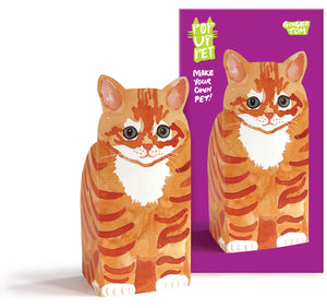 Pop Up Pet Ginger Tom