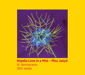 Rosie Flo's Nigella Seeds