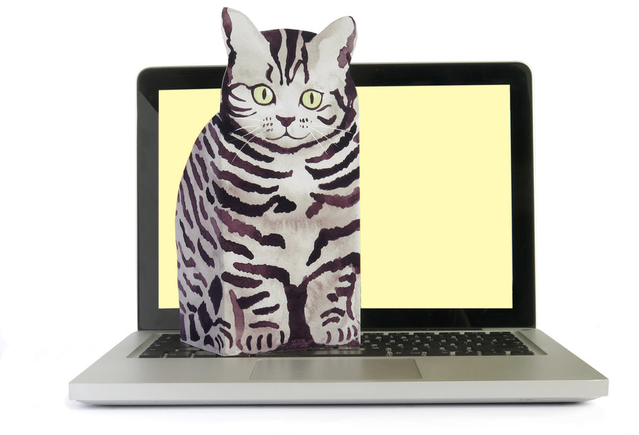 Pop Up Pet Silver Tabby on lap top 