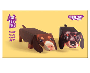 Pop Up Pet Dachshund Puppies cover