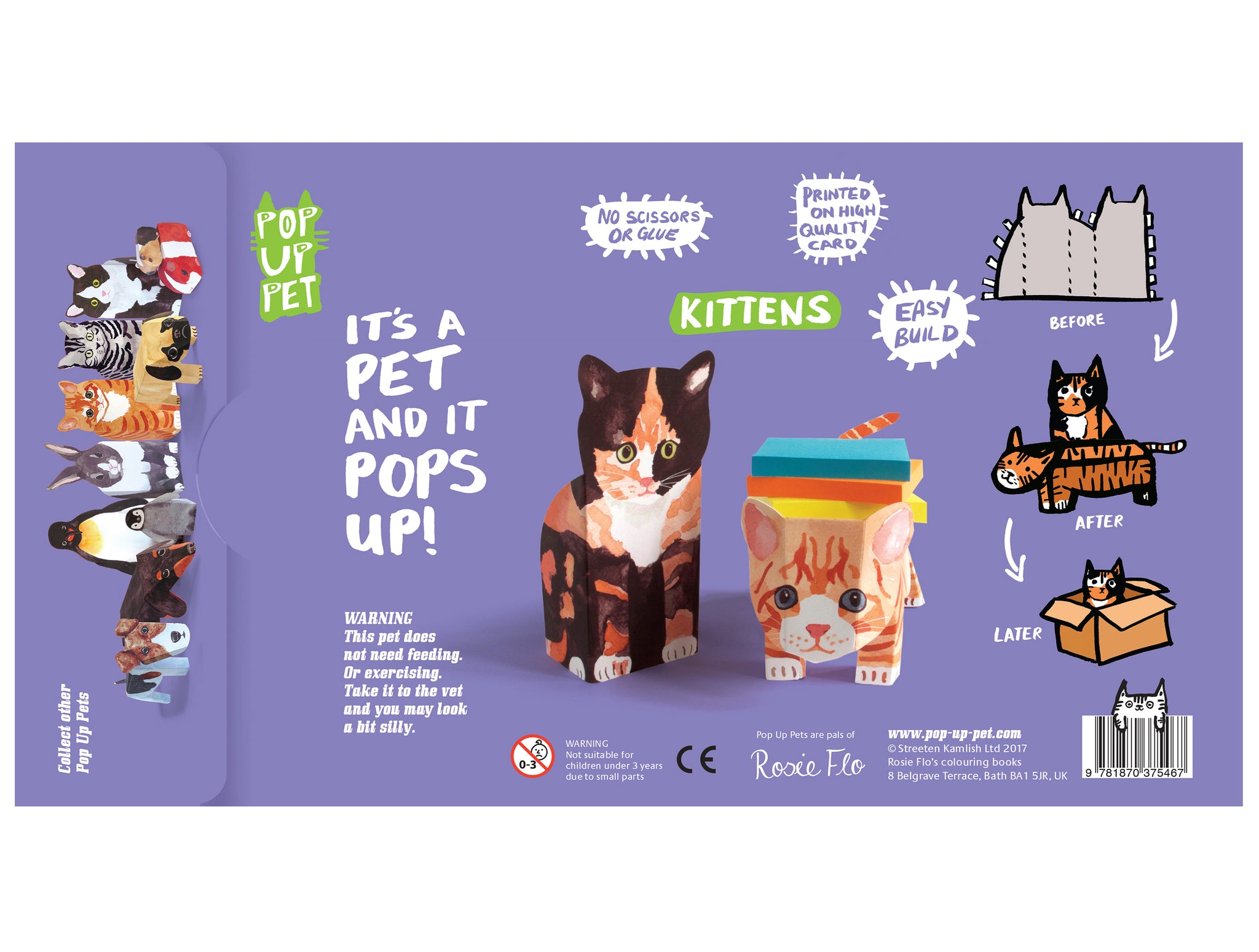 digital Telemacos glæde Pop Up Pet Kittens – www.rosieflo.co.uk