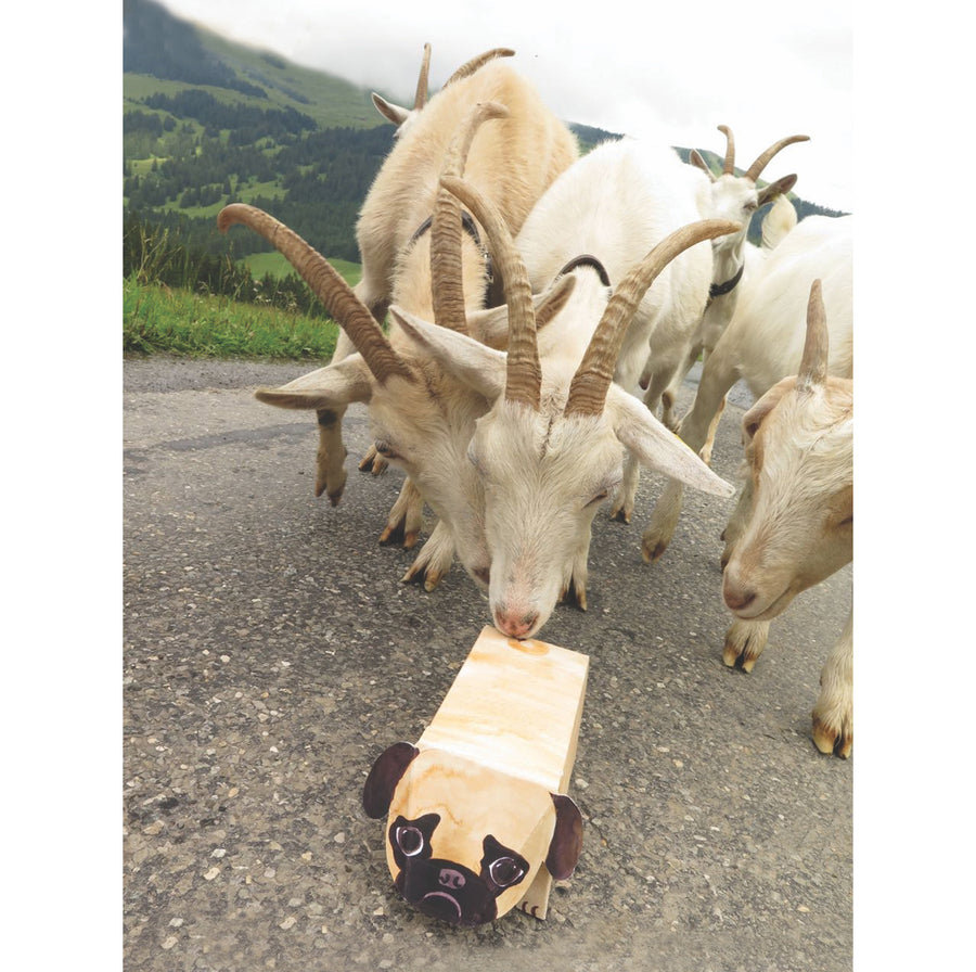 Pop Up Pet Pug with goats