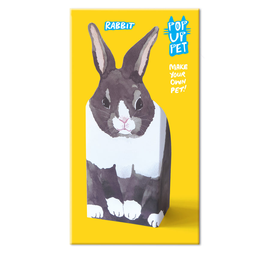 Pop Up Pet Rabbit cover