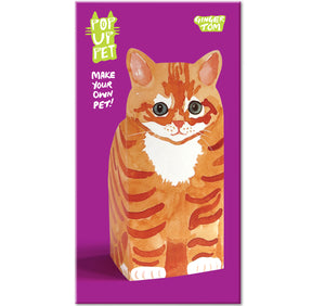 Pop Up Pet Ginger Tom cover