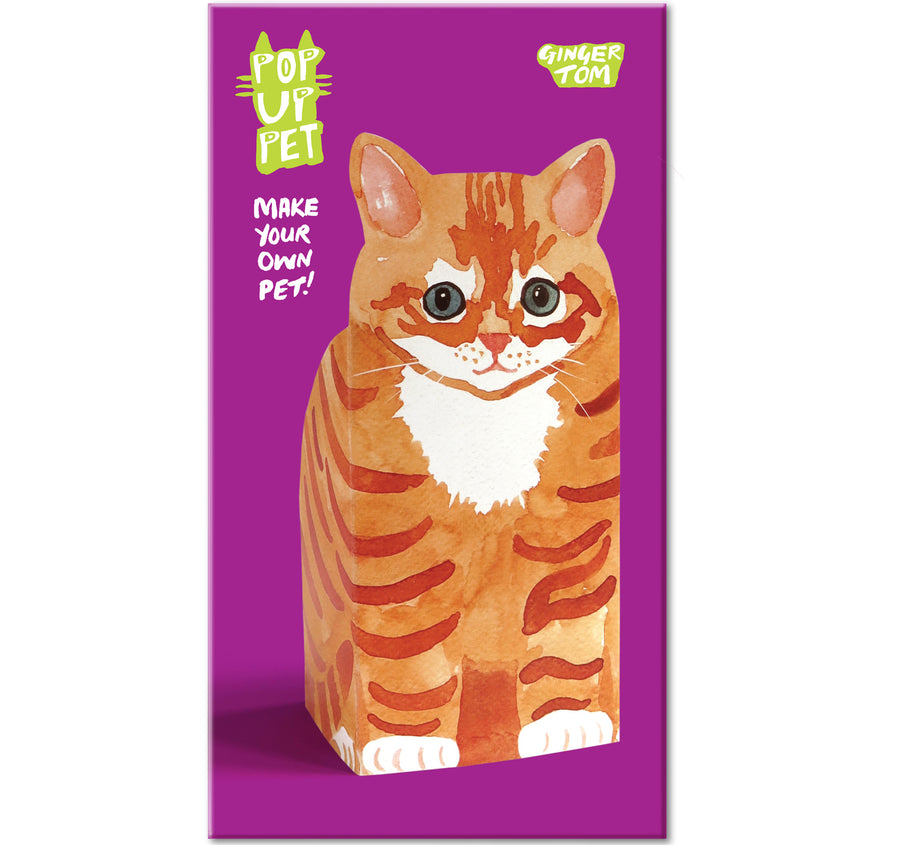 Pop Up Pet Ginger Tom cover