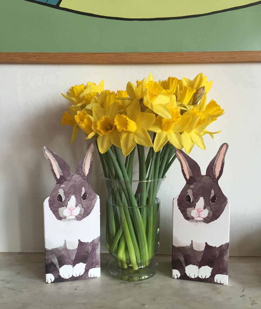 Pop Up Pet Rabbit with daffodils
