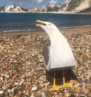 Pop UP Pet Seagull on beach