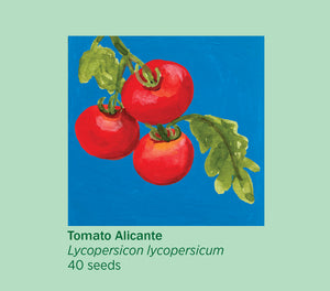 Rosie Flo's Tomato Seeds